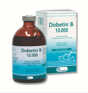 DOBETIN B1 iniettabile soluzione 1 flacone 100 ml 1 mg/ml + 100 mg/ml