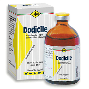 Dodicile Iniettabile Soluzione 1 Flacone 100 Ml 1 Mg/Ml + 100 Mg/Ml