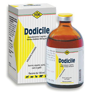 DODICILE iniettabile soluzione 1 flacone 100 ml 1 mg/ml + 100 mg/ml