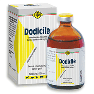 DODICILE iniettabile soluzione 1 flacone 100 ml 1 mg/ml + 100 mg/ml