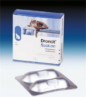 DRONCIT SPOT-ON soluzione 4 tubetti 0,5 ml 20 mg