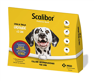 SCALIBOR PROTECTOR BAND*BI65CM