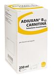 ADIUXAN B12 CARNITINA endovenosa intramuscolare sottocutanea 1 flacone 250 ml