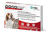PANACUR 10 compresse 250 mg cani/gatti