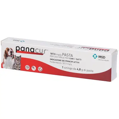 PANACUR orale pasta 1 siringa cani/gatti PANACUR orale pasta 1 siringa cani/gatti