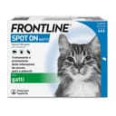FRONTLINE*3PIP GATTI