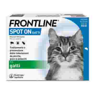 FRONTLINE*3PIP GATTI