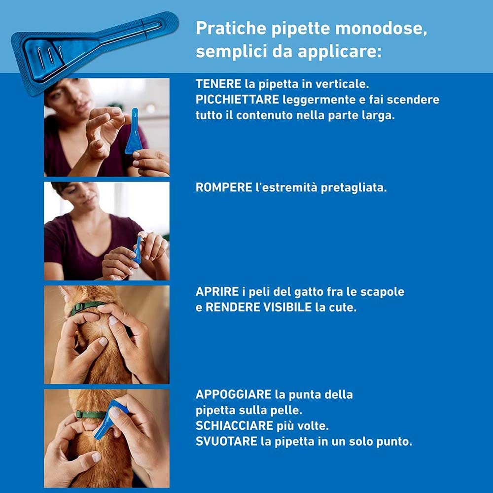 Frontline Spot On Gatti x3 Pipette, Antiparassitario per Gatti e Gattini, Contro  Zecche, Pulci e Pidocchi