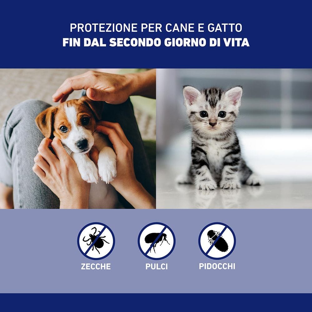 Frontline Spray 250ml, Protegge Cani, Gatti e Cuccioli dal Secondo Giorno di Vita Da Pulci, Zecche E Pidocchi