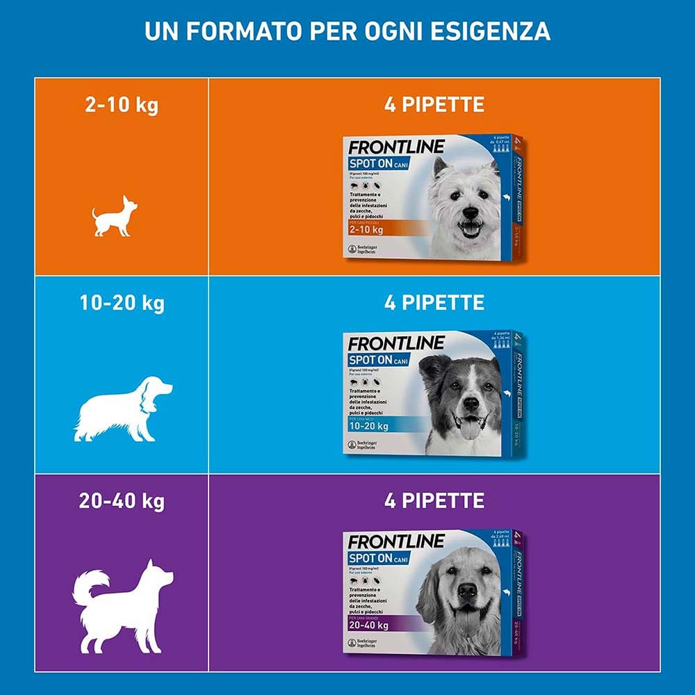 Frontline Spot On Cani x4 Pipette, Antiparassitario per Cani e Cuccioli (2-10Kg), Contro Pulci, Zecche E Pidocchi 