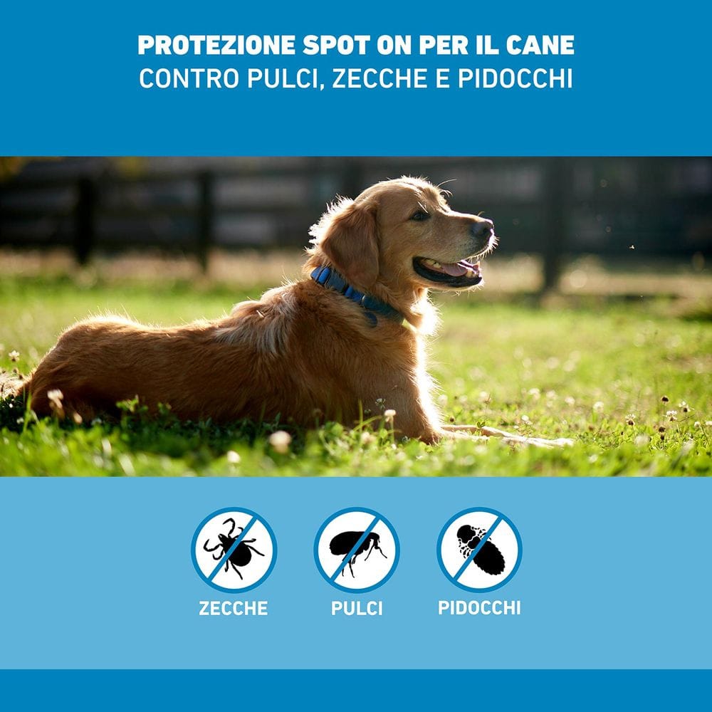Frontline Spot On Cani x4 Pipette, Antiparassitario per Cani e Cuccioli (10-20Kg), Contro Pulci, Zecche E Pidocchi 