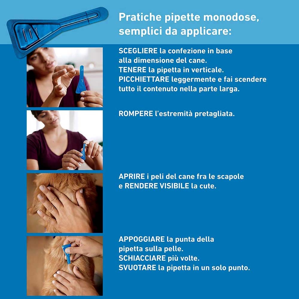 Frontline Spot On Cani x3 Pipette, Antiparassitario per Cani e Cuccioli (20-40Kg), Contro Pulci, Zecche E Pidocchi 