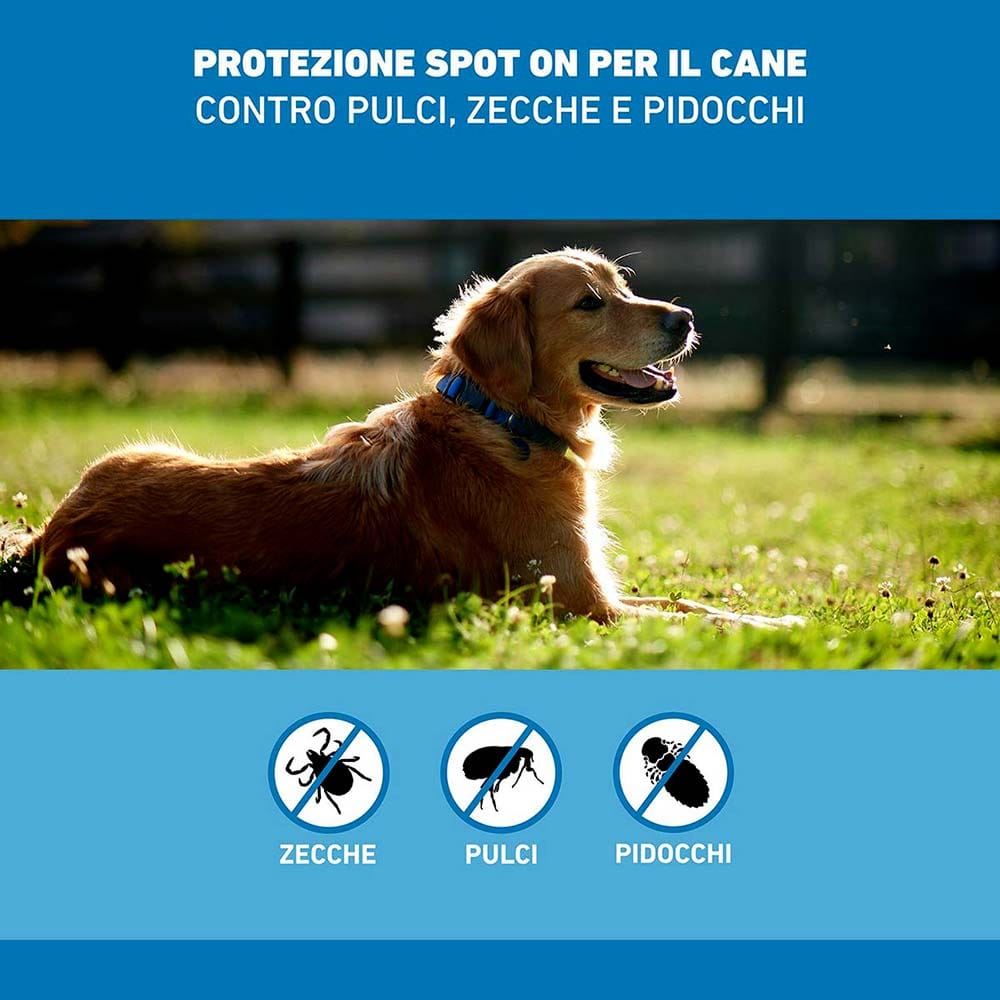 Frontline Spot On Cani x3 Pipette, Antiparassitario per Cani e Cuccioli (20-40Kg), Contro Pulci, Zecche E Pidocchi 
