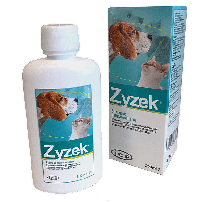 Zyzek Shampoo Ant*Fl Pe 200 Ml