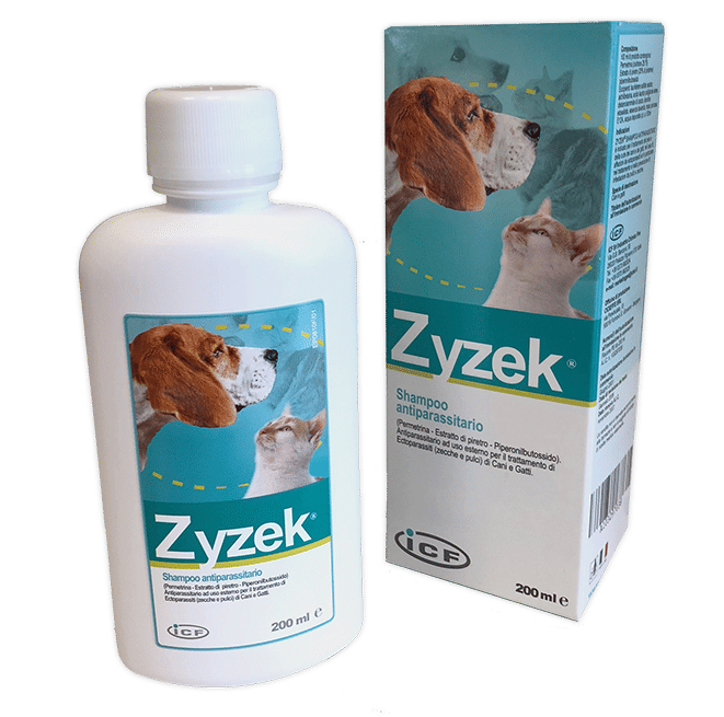 ZYZEK SHAMPOO ANT*FL PE 200ML