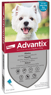 ADVANTIX SPOT-ON soluzione 6 pipette 1 ml cani da 4 a 10 kg