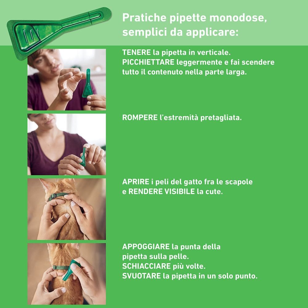 Frontline Combo Gatti x3 Pipette, Antiparassitario per Gatti, Gattini e Furetti, Contro Pulci, Zecche, Uova, Larve e Pidocchi 