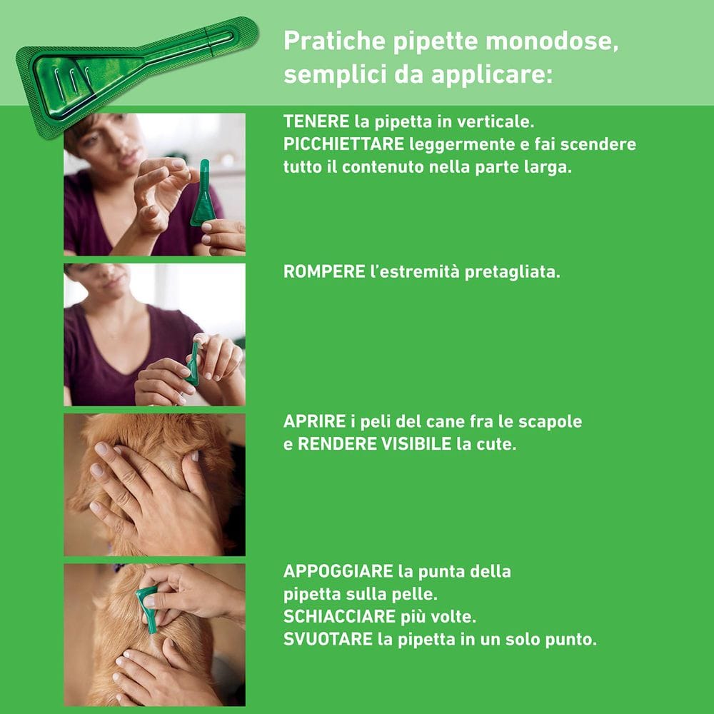 Frontline Combo Cani x3 Pipette, Antiparassitario per Cani Grandi e Cuccioli (20-40Kg) Contro Pulci, Zecche, Uova, Larve E Pidocchi