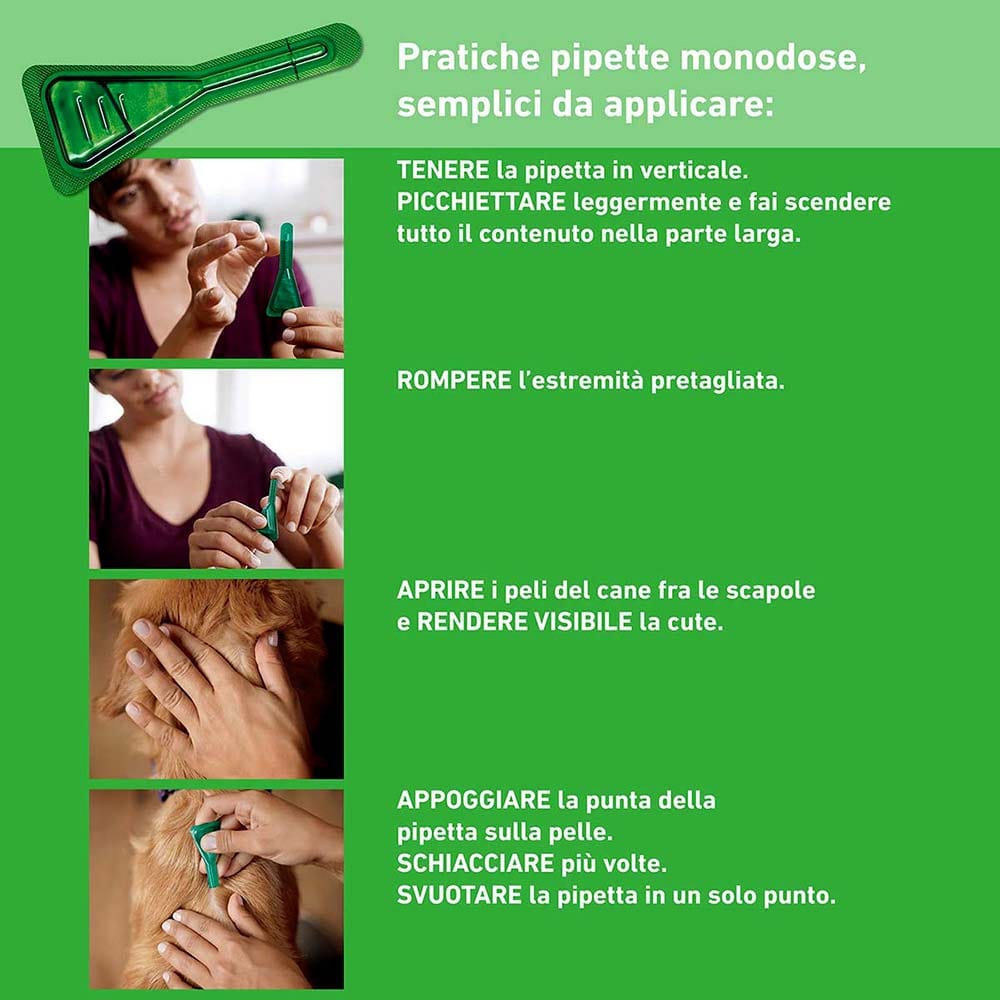 Frontline Combo Cani x3 Pipette, Antiparassitario per Cani XL e Cuccioli (+40Kg) Contro Pulci, Zecche, Uova, Larve E Pidocchi