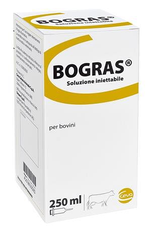 Bogras Intramuscolare Endovenosa 1 Flacone 250 Ml