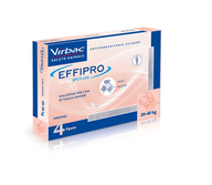 EFFIPRO 4 pipette 20-40 kg cani