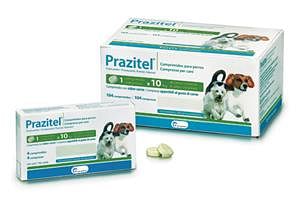 Prazitel*104 Cpr