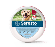 SERESTO 70 cm cani >8 kg