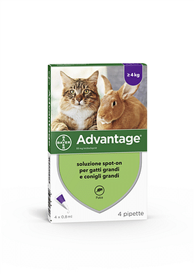 ADVANTAGE 4 pipette 0,8 ml spot-on