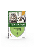ADVANTAGE 4 pipette 0,4 ml spot-on