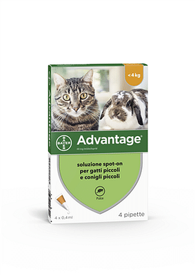 ADVANTAGE 4 pipette 0,4 ml spot-on