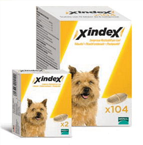 Xindex 2 Compresse Masticabili Cani