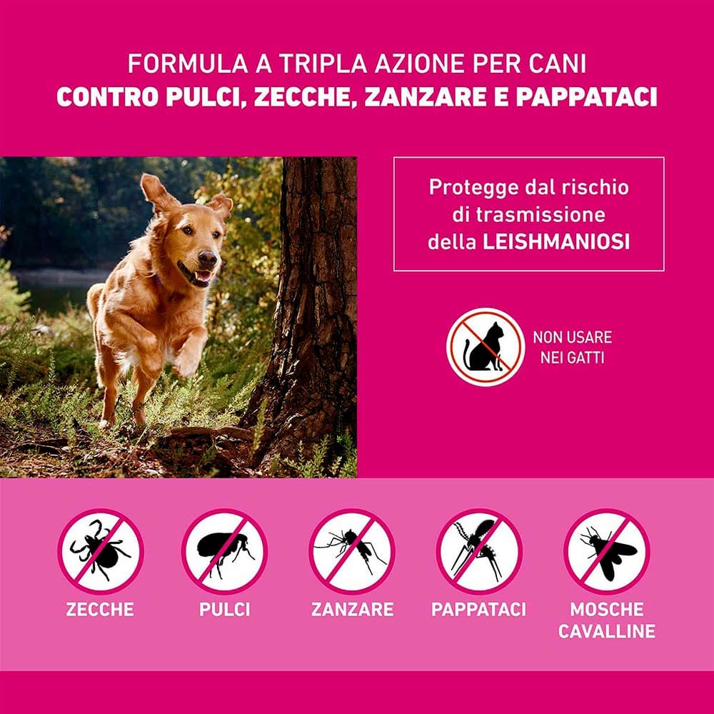 Frontline Tri-Act x1 Pipetta, Antiparassitario Per Cani e Cuccioli (Taglia S 5-10Kg) Contro Pulci, Zecche, Zanzare, Pappataci e Leishmaniosi