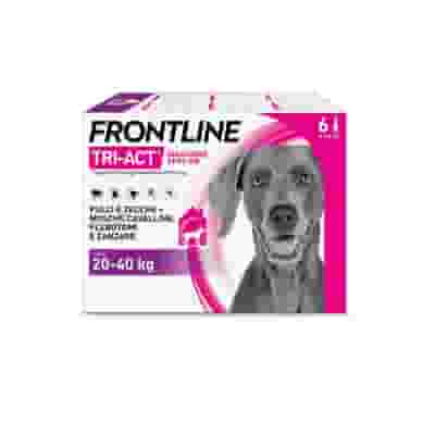 Frontline Tri-Act x6 Pipette, Antiparassitario Per Cani e Cuccioli (Taglia L 20-40Kg) Contro Pulci, Zecche, Zanzare, Pappataci e Leishmaniosi