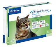 EFFIPRO DUO 4 pipette 1-6 kg gatti