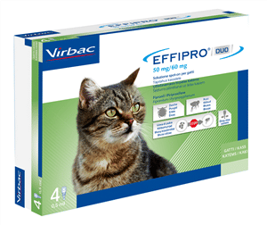 EFFIPRO DUO 4 pipette 1-6 kg gatti