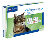 EFFIPRO DUO 4 pipette 1-6 kg gatti