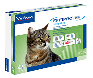 EFFIPRO DUO 4 pipette 1-6 kg gatti