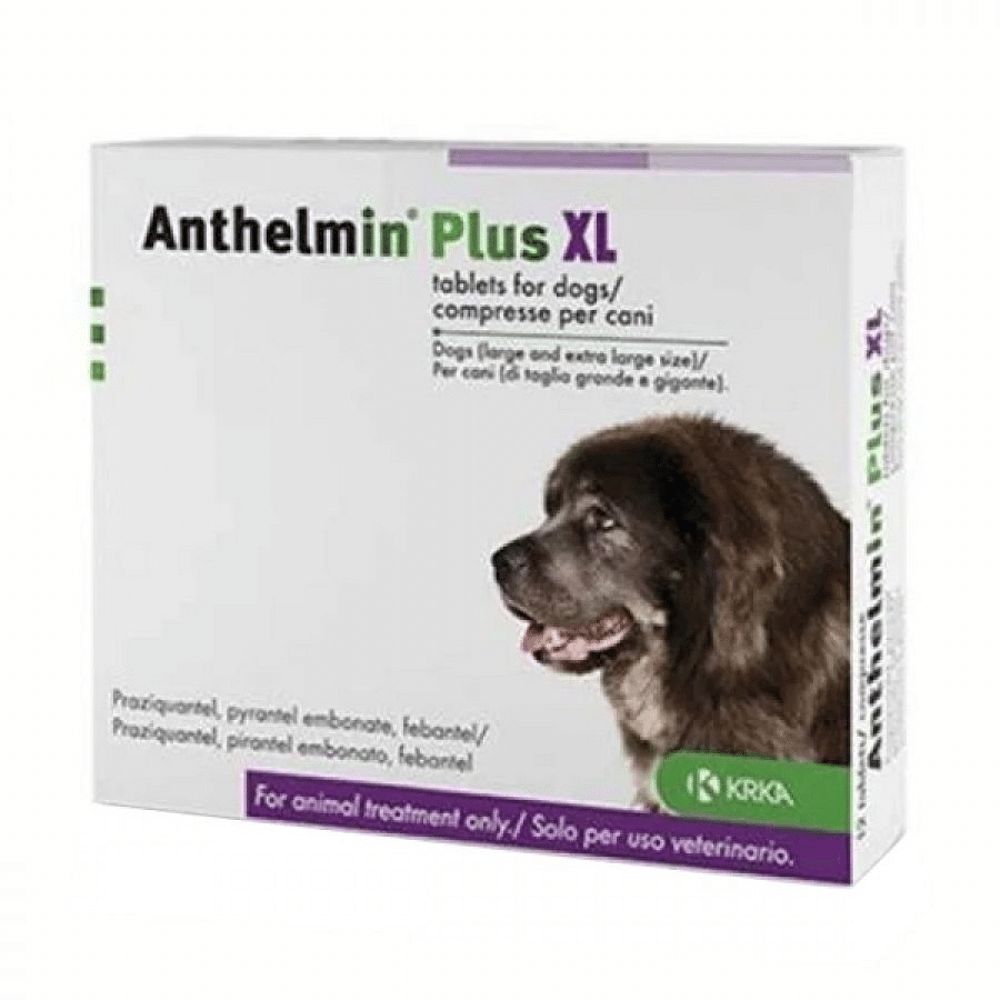 Anthelmin Plus Xl 2 Compresse