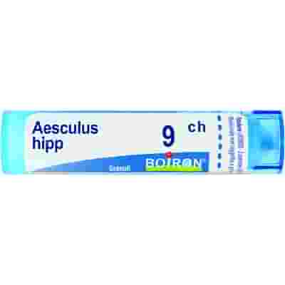 AESCULUS HIPPOCASTANUM 9CH GRANULI 4G