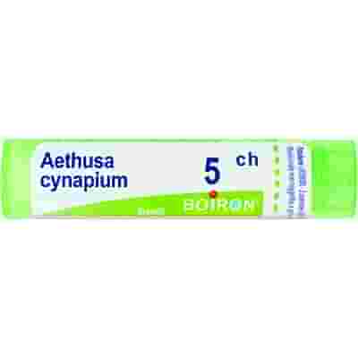 AETHUSA CYNAPIUM 5CH GRANULI 4G
