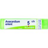 ANACARDIUM ORIENTALIS 5 CH GRANULI 4G