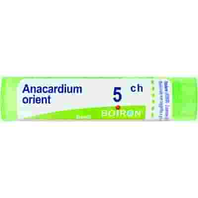 ANACARDIUM ORIENTALIS 5 CH GRANULI 4G