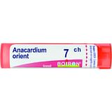 ANACARDIUM ORIENTALIS 7 CH GRANULI 4G