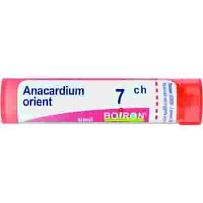 ANACARDIUM ORIENTALIS 7 CH GRANULI 4G
