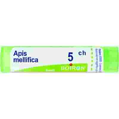 APIS MELLIFICA 5 CH GRANULI 4G