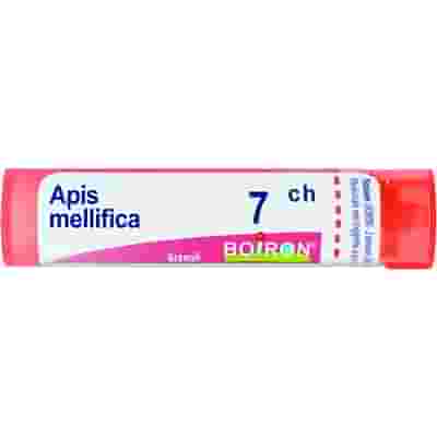 APIS MELLIFICA 7 CH GRANULI 4G