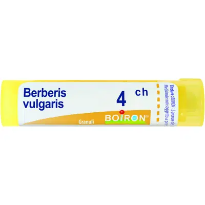 BERBERIS VULGARIS 4CH GRANULI 4G BERBERIS VULGARIS 4CH GRANULI 4G