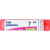 CALCAREA CARBONICA OSTREARUM 7 CH GRANULI 4G