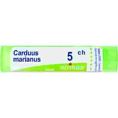 CARDUUS MARIANUS 5 CH GRANULI 4G