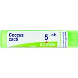 COCCUS CACTI 5 CH GRANULI 4G